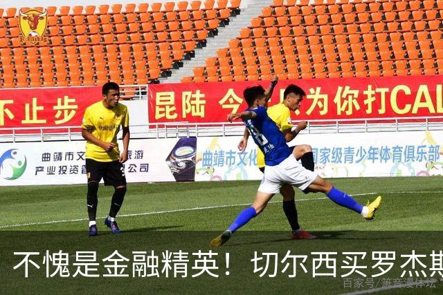 不愧是金融精英！切尔西买罗杰斯成本不高，跟帕尔默共存没问题